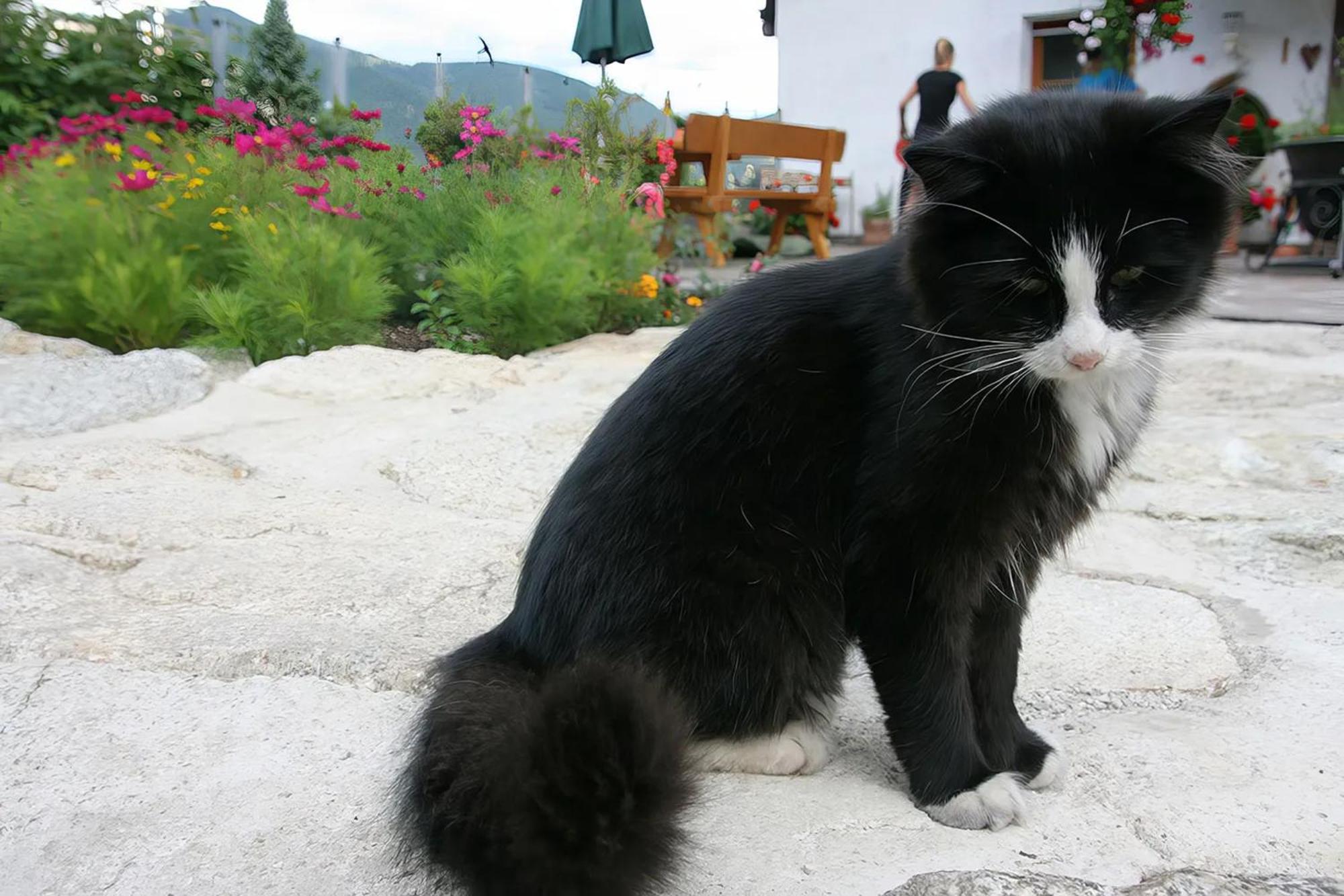 Binterhof Villa Planca di Sopra ภายนอก รูปภาพ